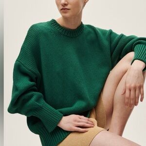 Babaa no 51 tree fern